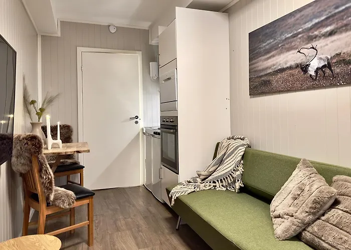 Studio Apartment 公寓